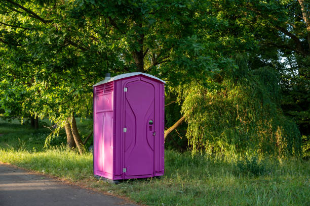 Best Sanitation services for porta potties  in Lake Ripley, WI